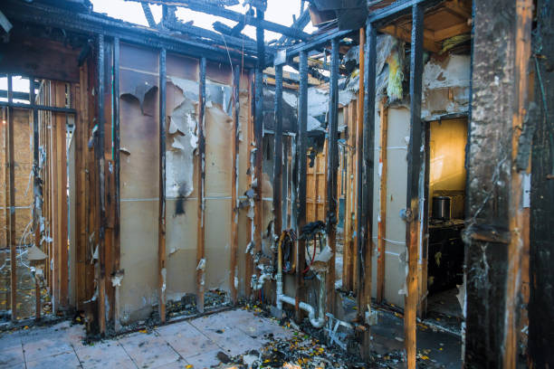 Professional Fire Damage Removal technician working in Wesson, MS